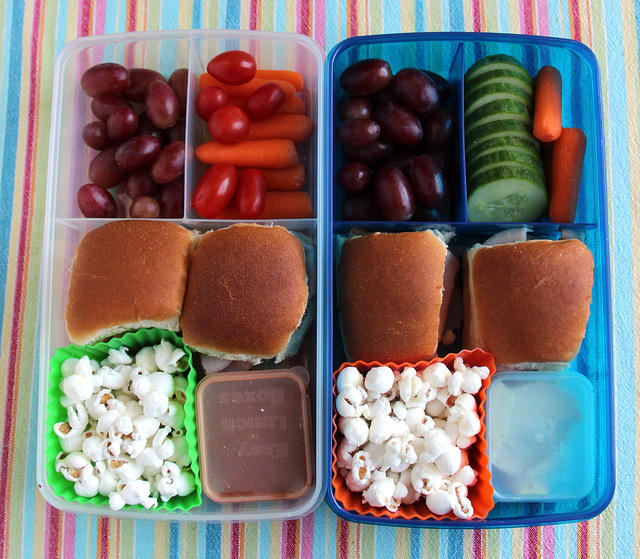 Twinsies Fit and Fresh Lunches