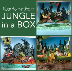 How to Make a Jungle in a Box
