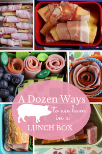 12 different ways to pack ham in a lunch box. Fun and cute!
